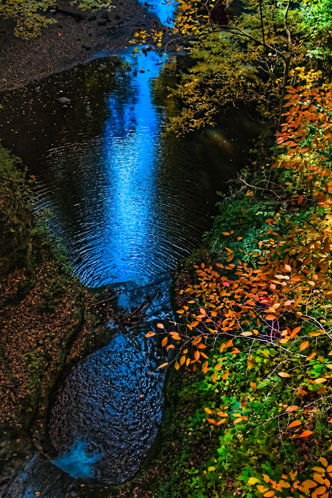 An image of a waterfall from above, leading down into a wider river and beneath red and orange leaves.